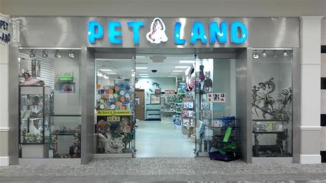 petland macon